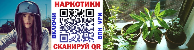 Виды наркоты Ессентуки Марихуана  COCAIN  Гашиш 