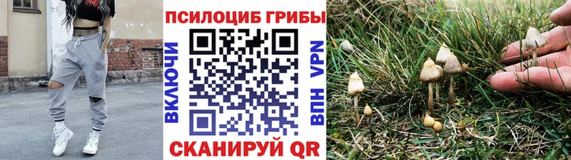 Галлюциногенные грибы мухоморы  Ессентуки 