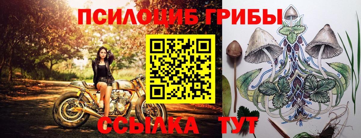 Ессентуки  цены наркотик  Галлюциногенные грибы мицелий  Вход с VPN  Галлюциногенные грибы GOLDEN TEACHER 